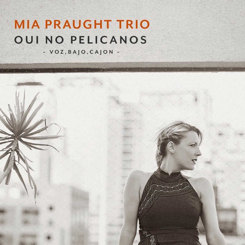 Oui No Pelicanos cover artwork